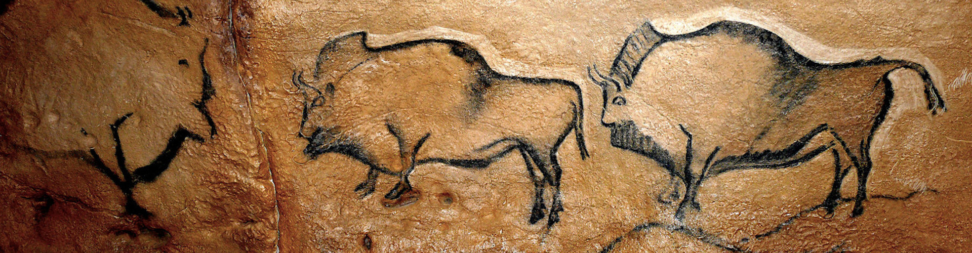 Patrimonio
