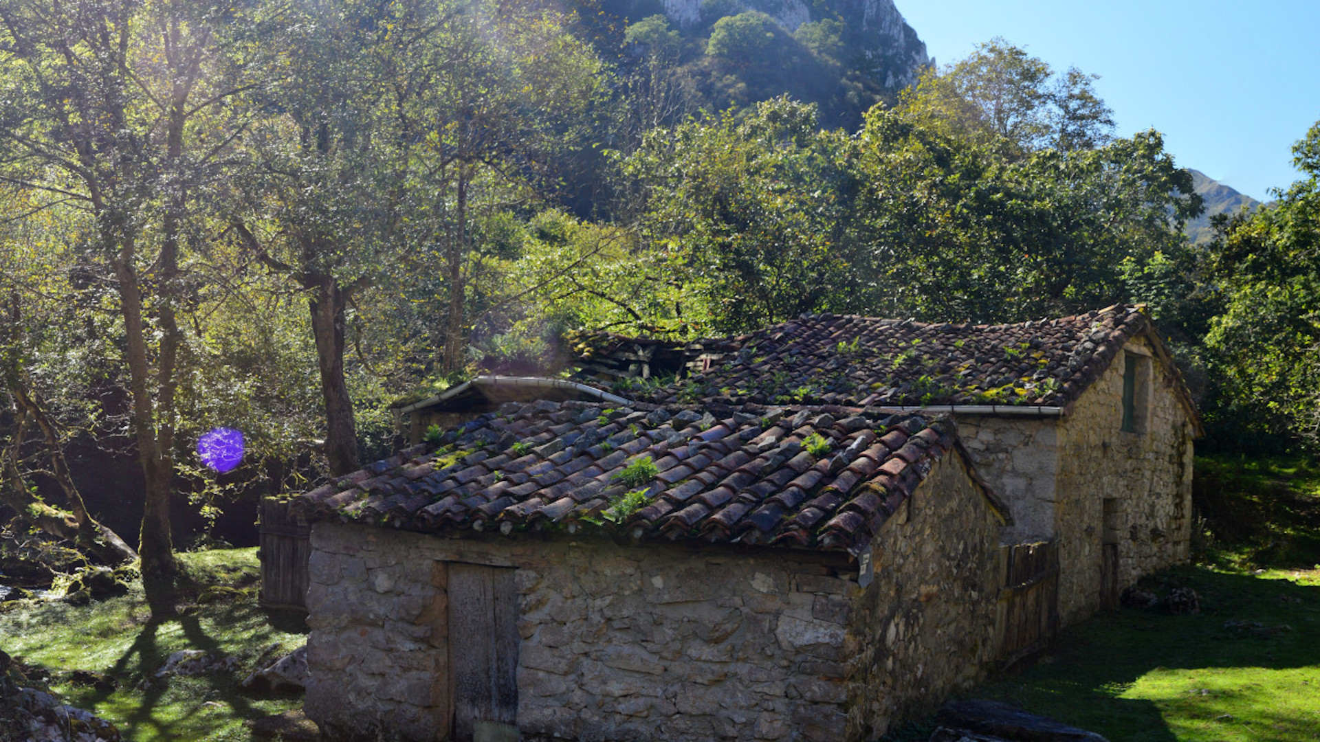Planifica